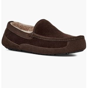 UGG® Ascot Corduroy II Driver (Men)
STOUT, Size 17 NEW